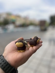 IMG_027100