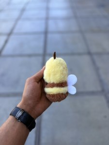 IMG_0276
