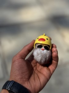IMG_0367