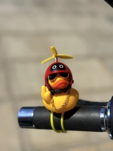 IMG_0377