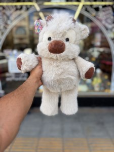 IMG_9567