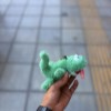 IMG_9987
